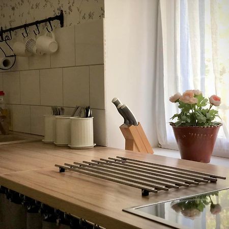 Alpakarium, Hodowla Alpak & Pensjonat Stara Kornica Ngoại thất bức ảnh