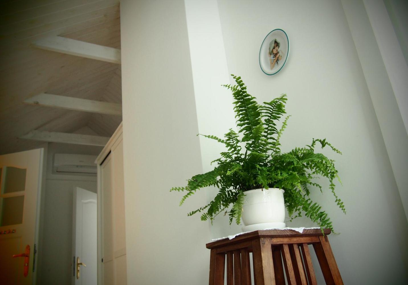 Alpakarium, Hodowla Alpak & Pensjonat Stara Kornica Ngoại thất bức ảnh