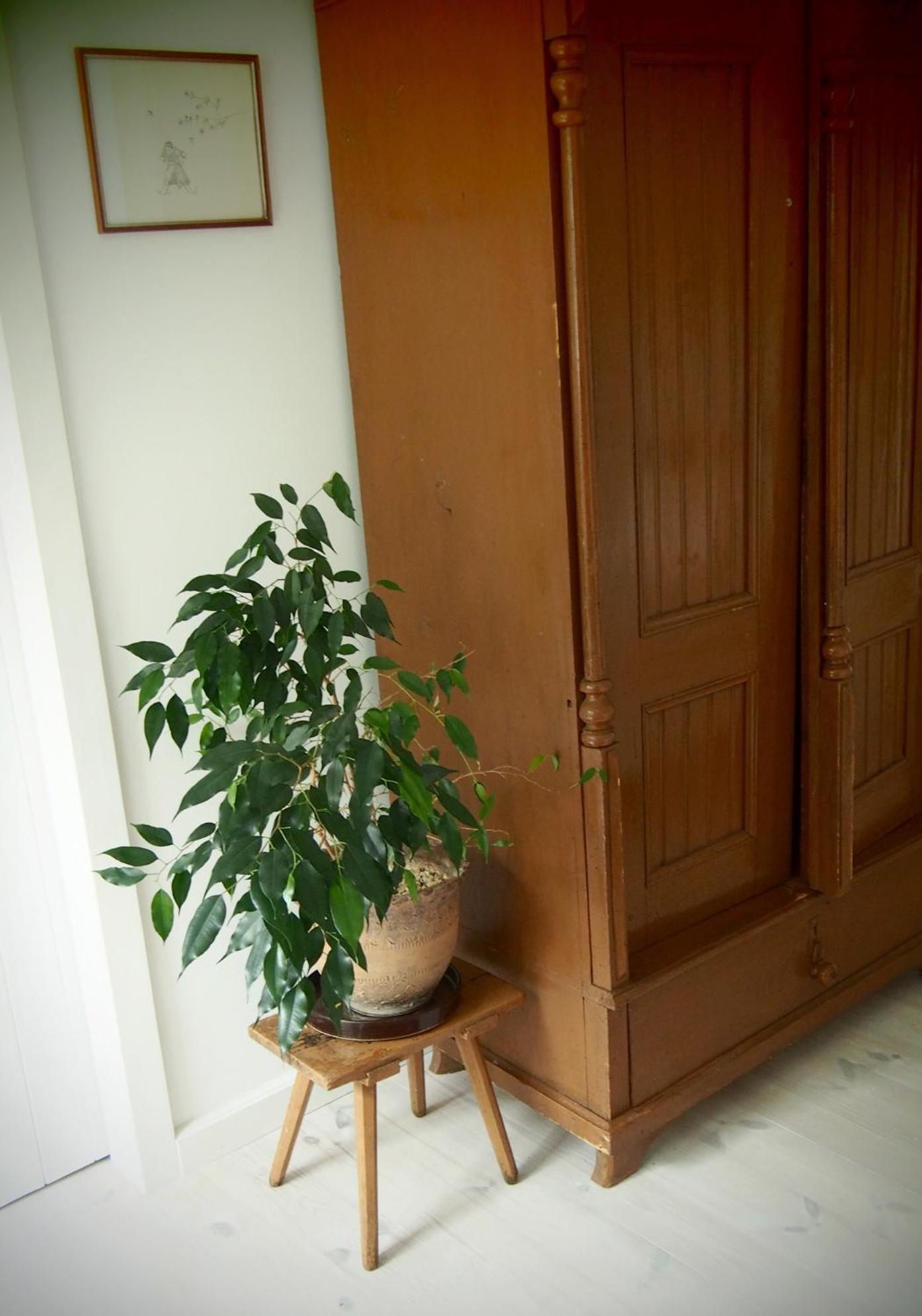 Alpakarium, Hodowla Alpak & Pensjonat Stara Kornica Ngoại thất bức ảnh